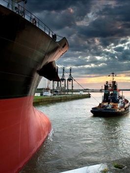 C.S.O COMPANY SECURITY OFFICER